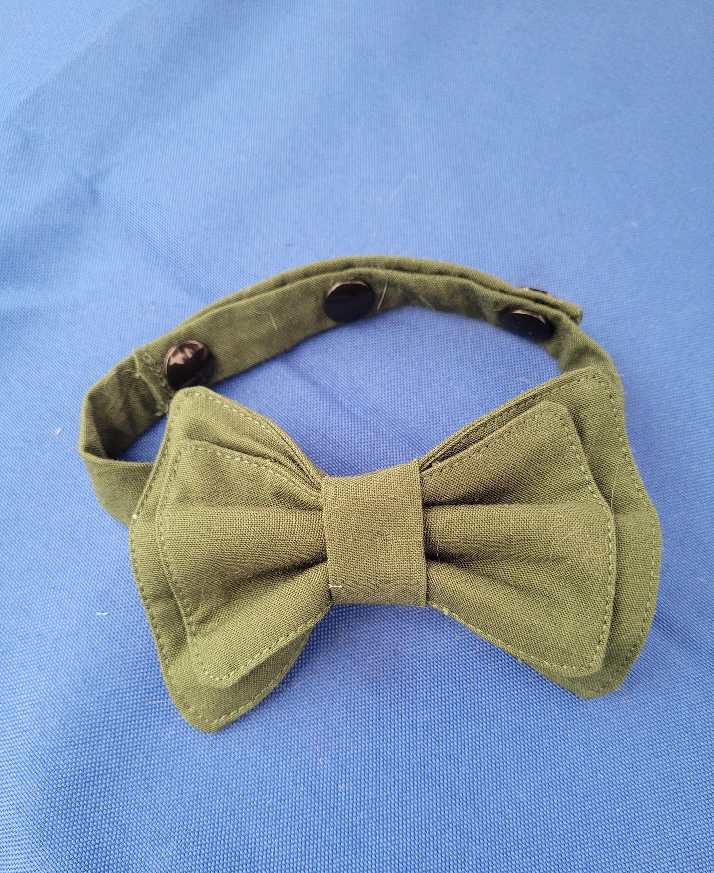 Bow Tie