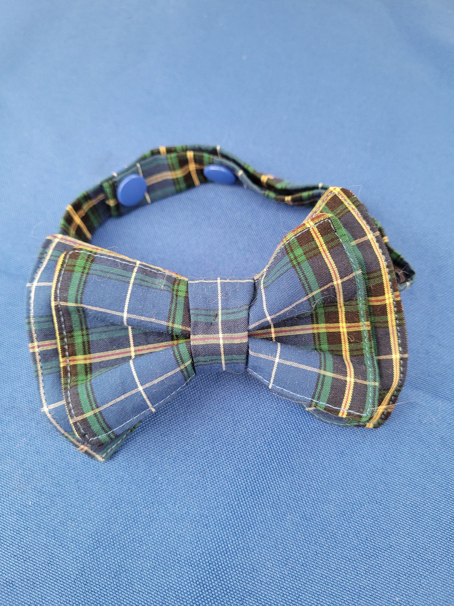 Bow Tie